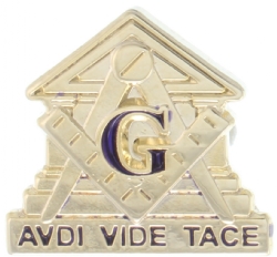 Audi Vide Tace Pin Model # 357798