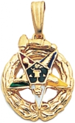 Eastern Star Past Matron Pendant Model # 359429 Eastern Star Past Matron Pendant Model # 359429