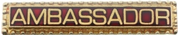 Ambassador Pin Model # 361353