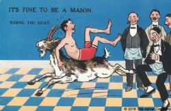 It's Fine to be a Mason. Riding the Goat Postcard Model # 361614
