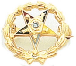 Eastern Star Lapel Pin Model # 362399
