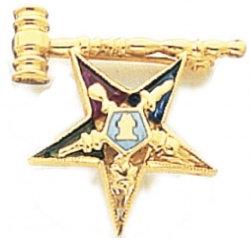 Eastern Star Lapel Pin Model # 362413