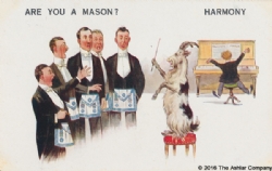 Are you a Mason? Harmony Postcard (Series 3333) Model # 362600