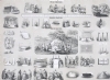 Educational Chart Model # 358416 Educational Chart Model # 358416