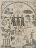 Educational Chart Model # 358419 Educational Chart Model # 358419