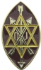 Order of the Secret Monitor Pin